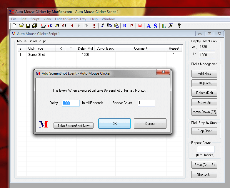Auto Screenshot Software