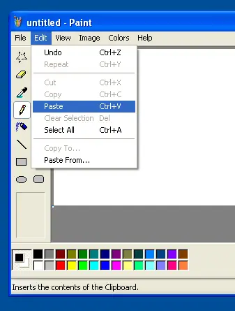 Paste Screenshot Captured in Paintbrush