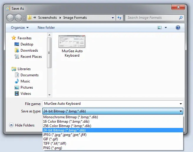 Save Screenshot as Bitmap, JPEG, Gif, Tiff or in PNG Filr Format