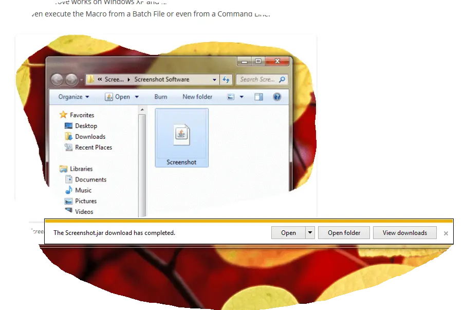 Screenshot App in Internet Explorer