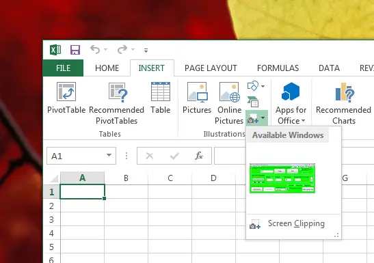 Screenshot in Excel File