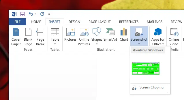 Screenshot in Word Document