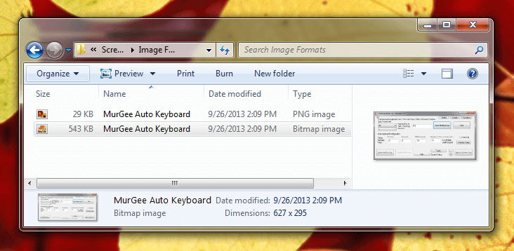 Screenshot stored as Bitmap File