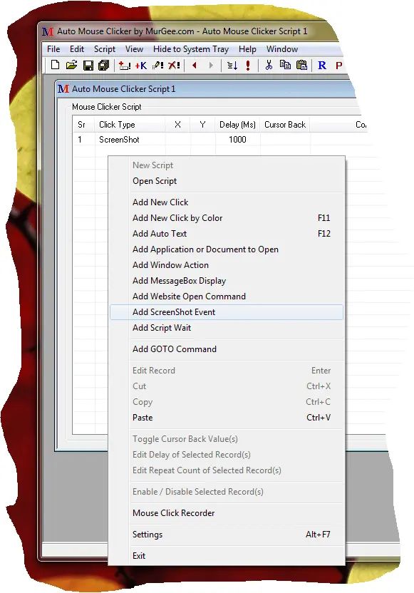 Screenshot with Macro Script